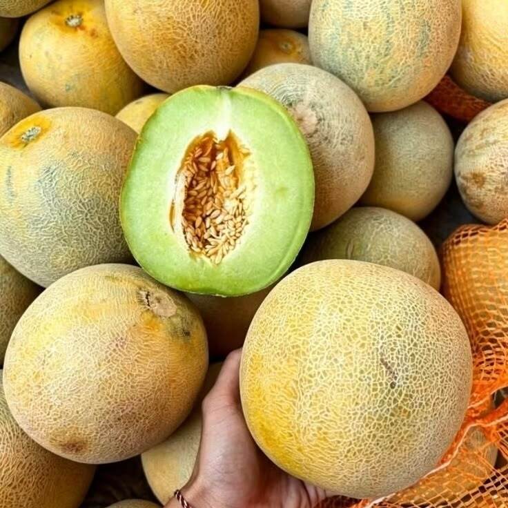 Fresh Melon