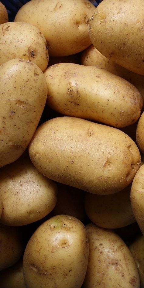 Fresh Potato