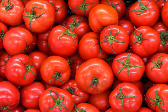 Fresh Tomato